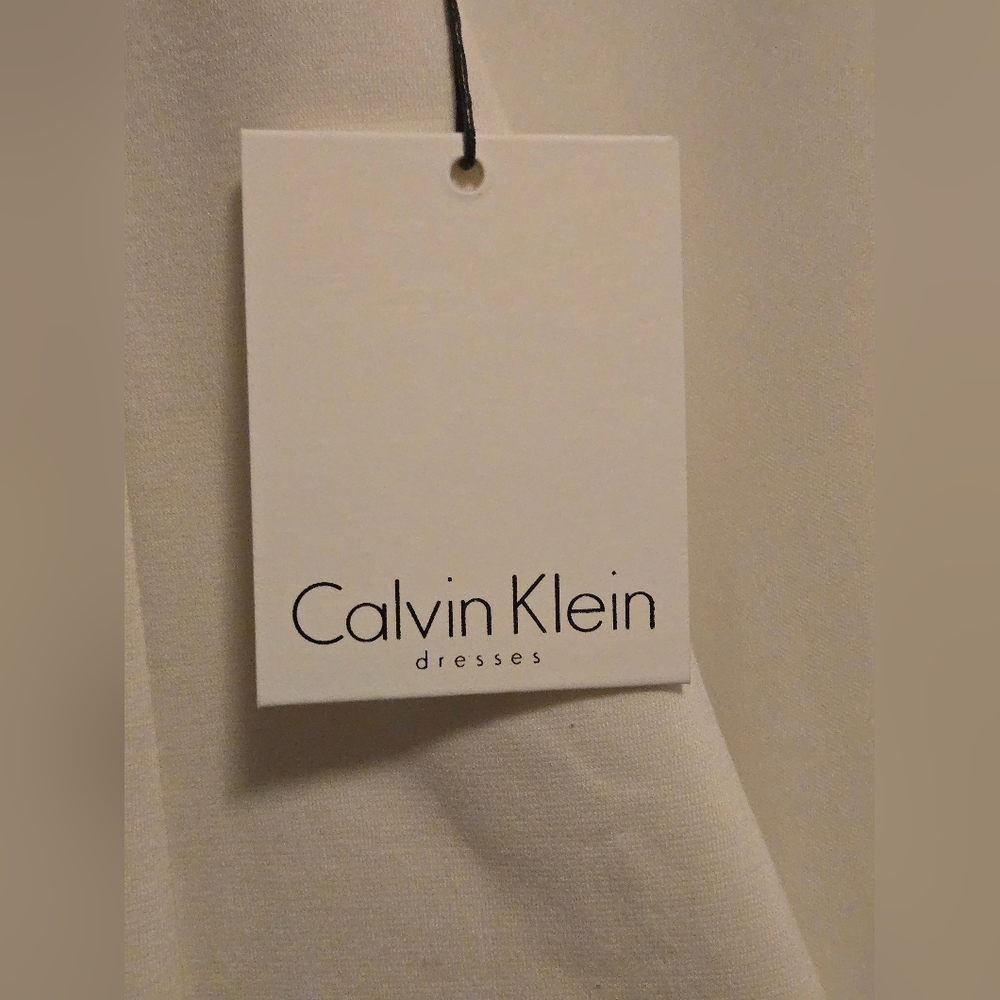 Calvin Klein Ivory Striped Mini Dress - Picture 9 of 12